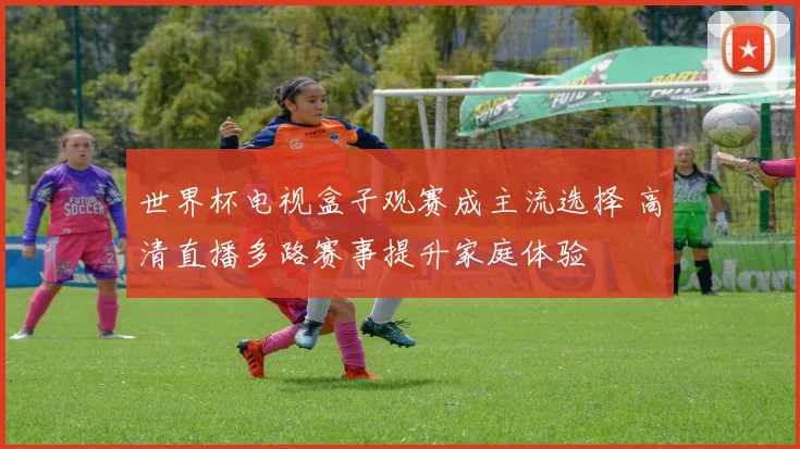 世界杯电视盒子观赛成主流选择 高清直播多路赛事提升家庭体验